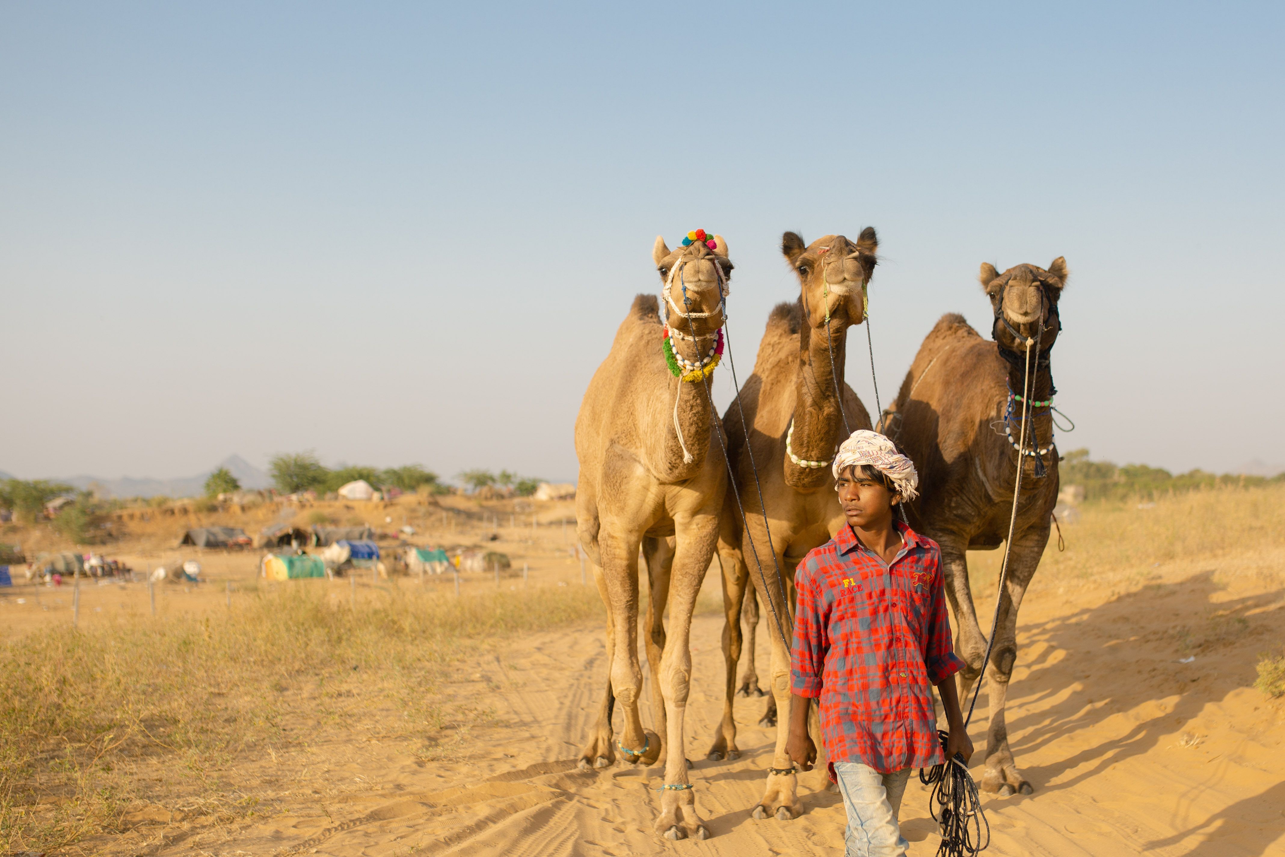 From Delhi: 5 Days Golden Triangle Tour with Pushkar